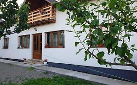 Pensiunea Ilea